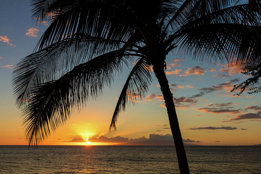 Hawaiian Sunset Palm Tree Photograph by Pierre Leclerc Photography