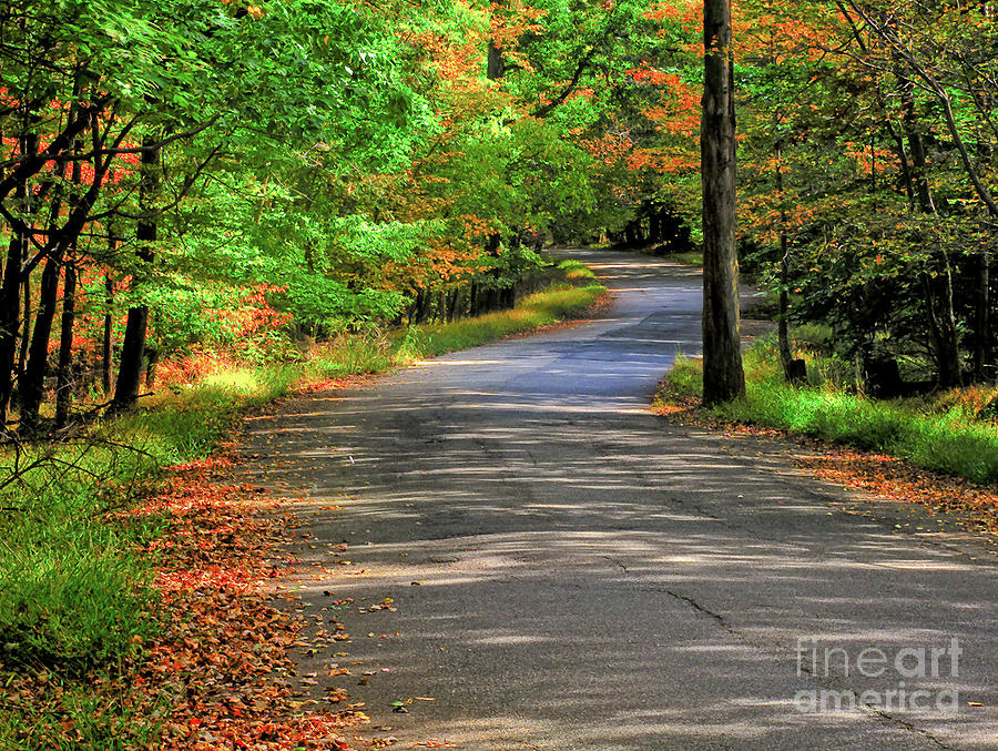Fall Photograph - South Mountain Reservation by Valerie Morrison