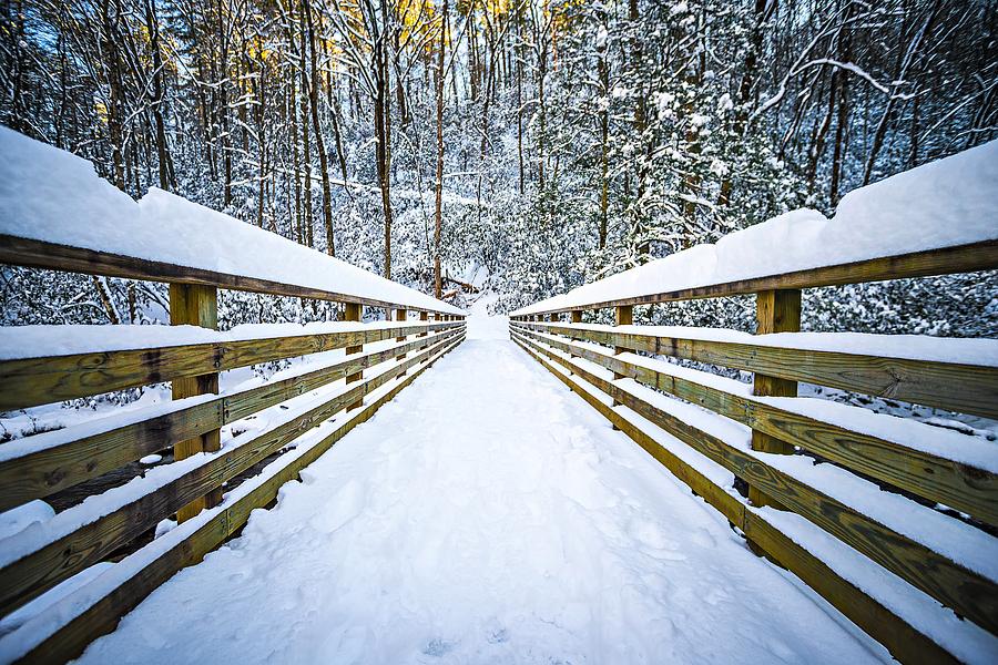 South Mountain State Park Winter Season Photograph by Alex Grichenko