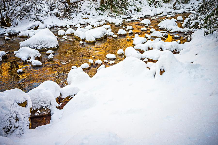South Mountain Stream In Winter Woods Photograph by Alex Grichenko