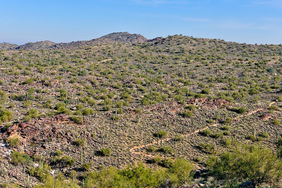Phoenix Photograph - South Mountain Trail by Tom Dowd