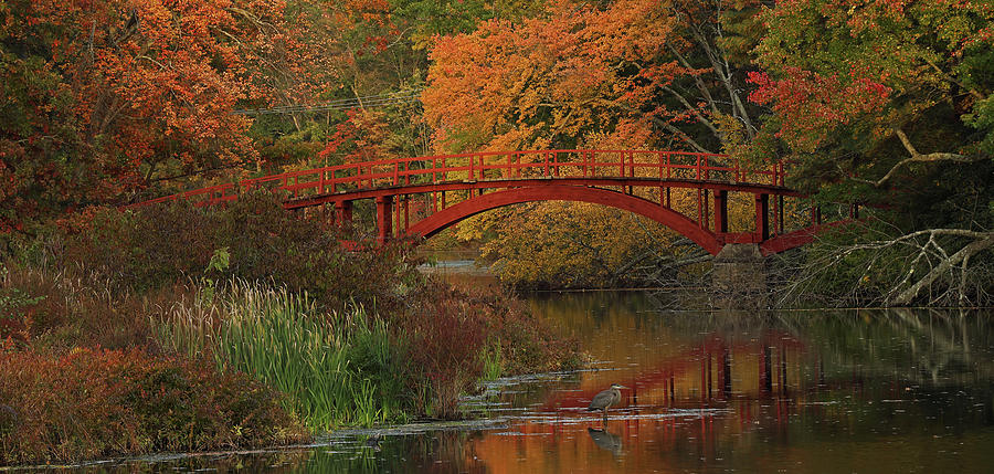 South Natick Sargent Footbridge Photograph by Juergen Roth