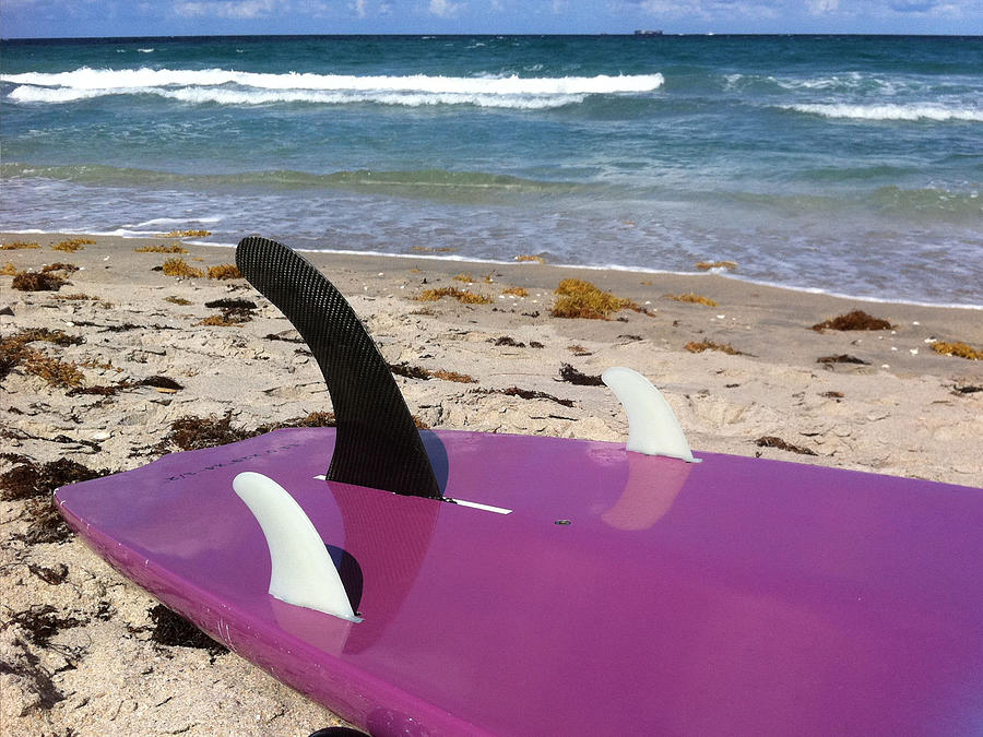 South Palm Beach - Surf Board Photograph by Karen Zuk Rosenblatt