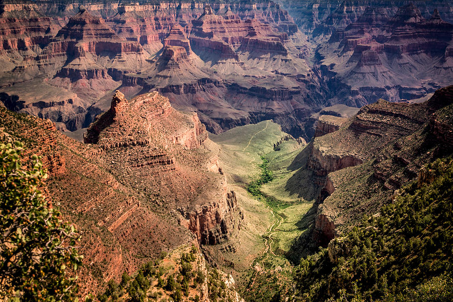 South Rim Grand Canyon Photograph by Claudia Abbott