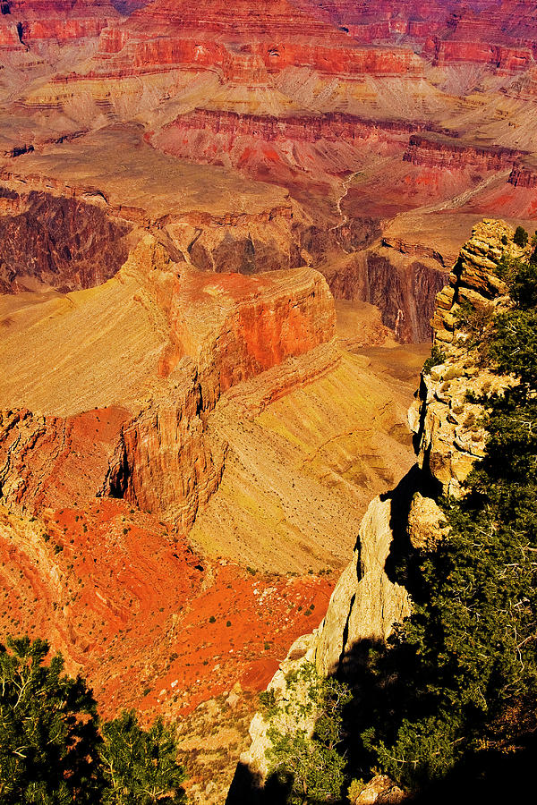 South Rim of Grand Canyon Photograph by Bill Barber