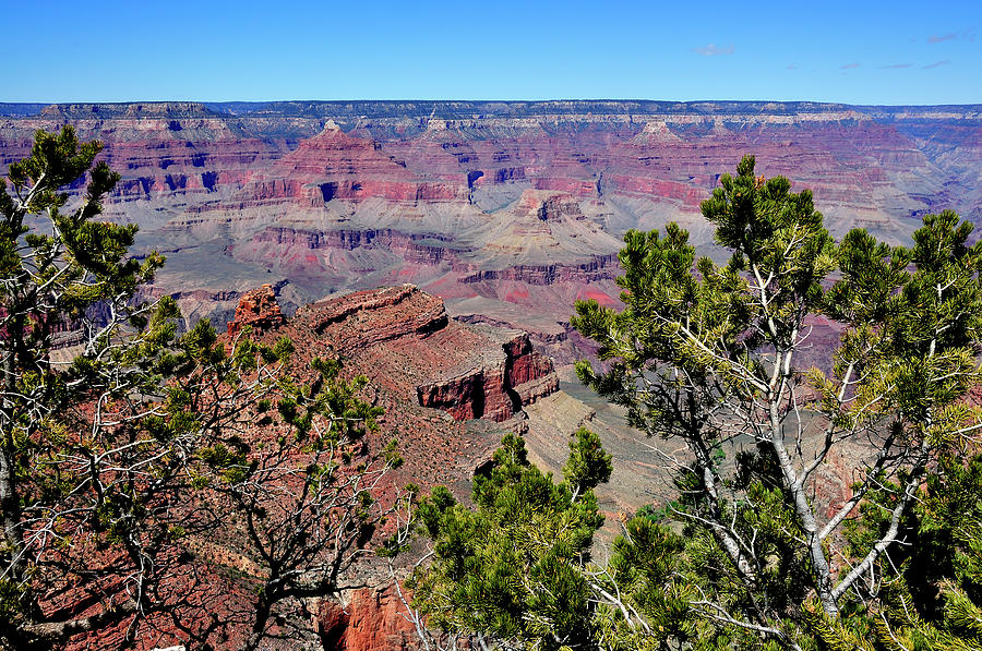 South Rim of the Grand Canyon Photograph by Thomas R Fletcher