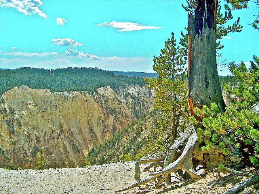 South Rim of Yellowstone Canyon from North Rim  in Yellowstone National Park, Wyoming Photograph by Ruth Hager