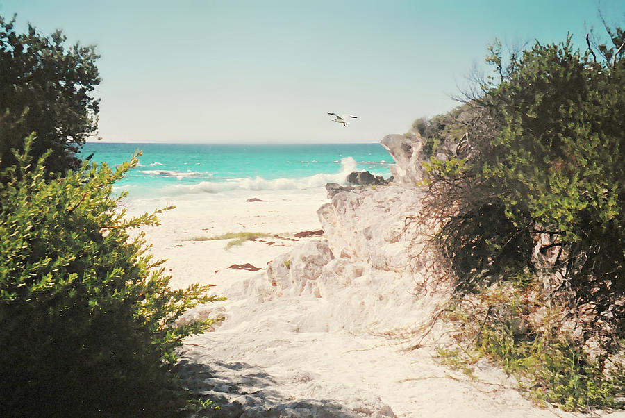 South Shore Bermuda Photograph by Diana Angstadt