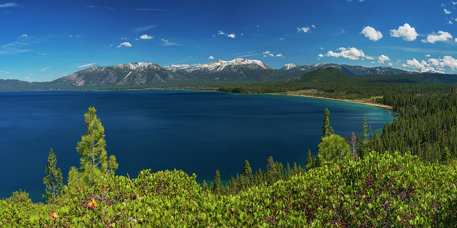 South Shore Lookout by Brad Scott 48x24 by Brad Scott South Shore Lookout by Brad Scott 48x24 by Brad Scott