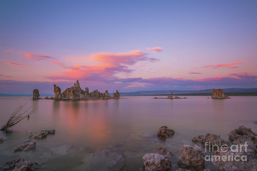 South Tufa Sunset  Photograph by Michael Ver Sprill