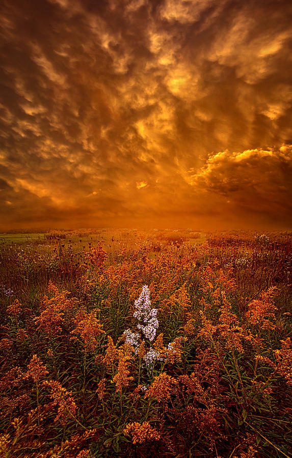 South Wind Photograph by Phil Koch