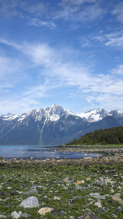Southeast Alaskan Summer Photograph