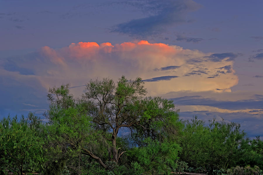 Southeast of Sunset h38 Photograph by Mark Myhaver