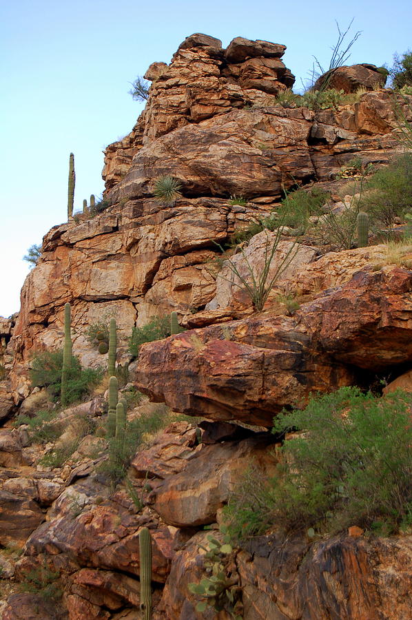 Spring Photograph - Southern Arizona Mountains by Teresa Stallings
