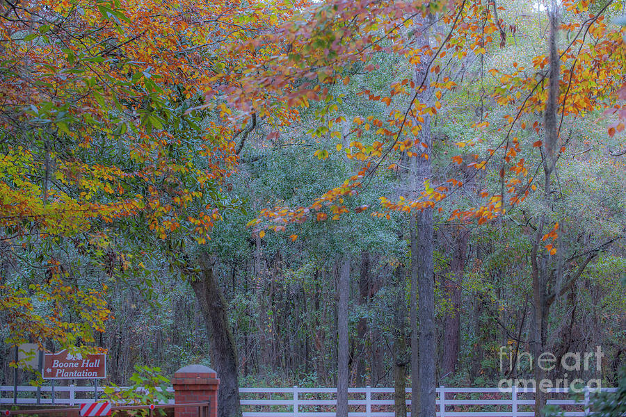 Fall Photograph - Southern Autumn by Dale Powell