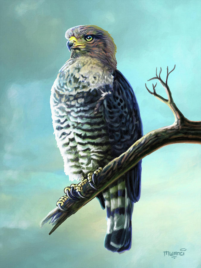 Southern Banded Snake Eagle Painting by Anthony Mwangi