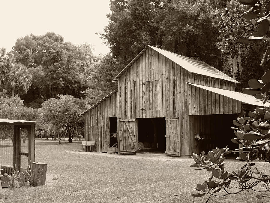 Southern Barn Photograph by Gordon Beck