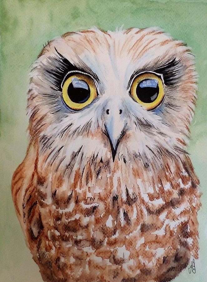 Southern Boobook Owl Painting by Anne Gardner