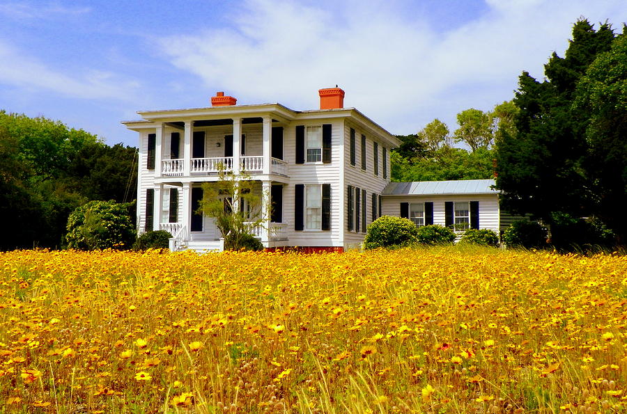 Landscape Photograph - Southern Charm by Karen Wiles