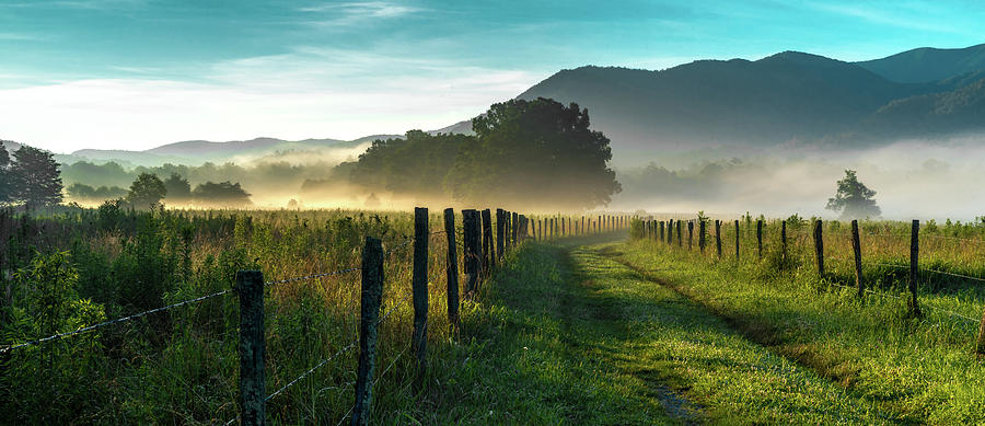 Southern Country Morning Photograph by Eric Albright
