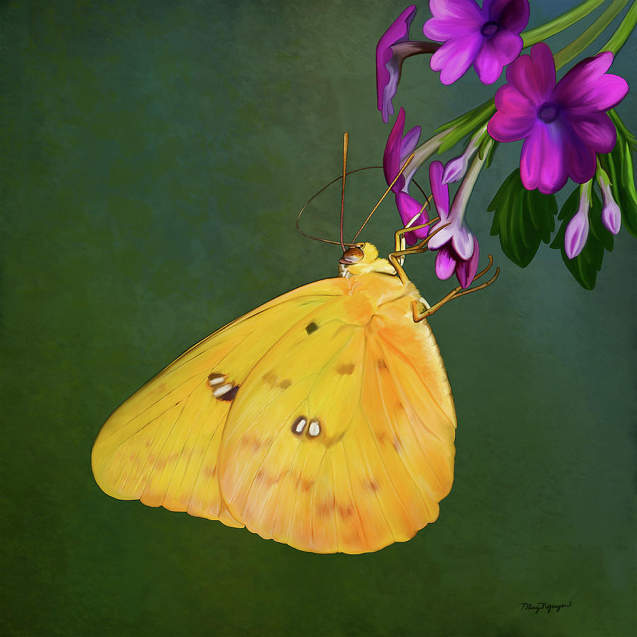 Southern Dogface butterfly Digital Art by Thanh Thuy Nguyen