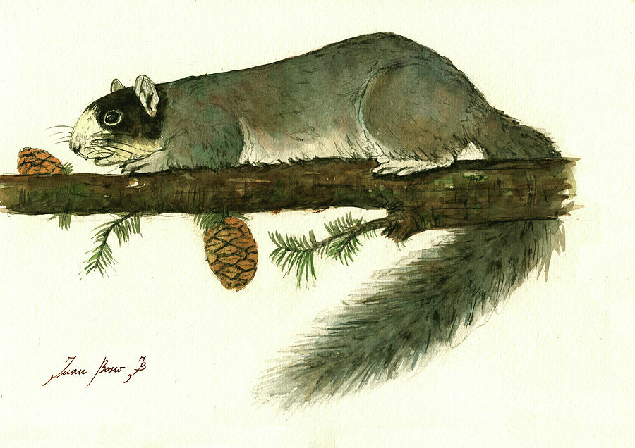 Squirrel Painting - Southern fox squirrel  by Juan Bosco
