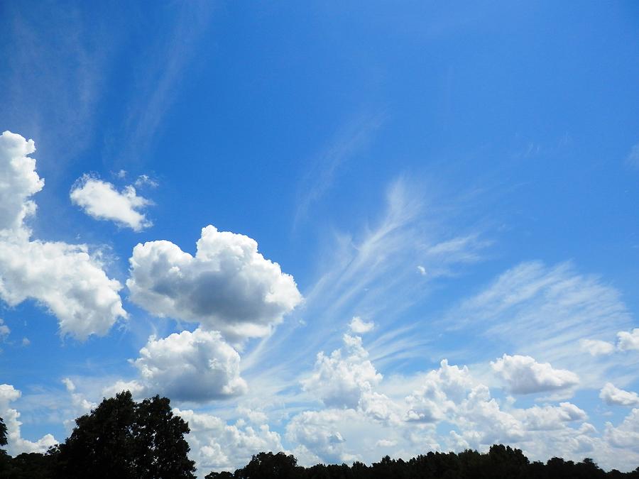 Southern Georgia Beautiful Sky Moment Photograph by Belinda Lee
