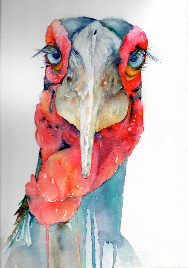 Southern Hornbill Painting by Maureen Moore