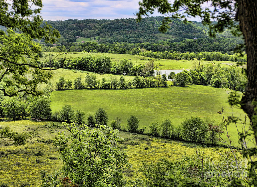 Natchez Trace Parkway Southern Landscape USA Photograph by Chuck Kuhn ...