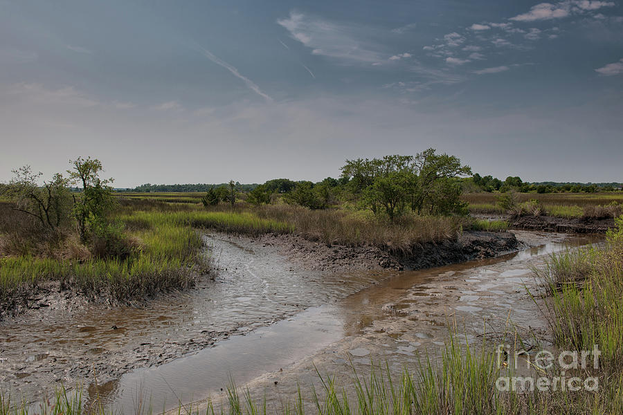 Southern Lowcountry Salt Marsh Photograph by Dale Powell