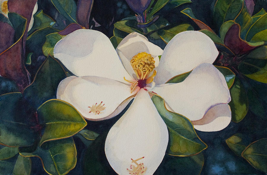 Southern Magnolia 2 Painting by Betsy Arvelo