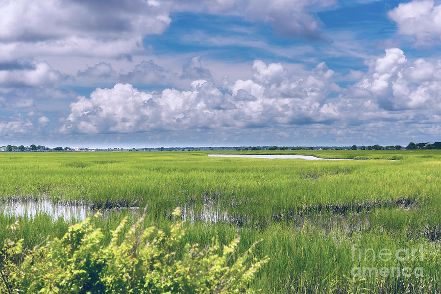 Southern Marsh Lowcountry Tides Photograph by Dale Powell