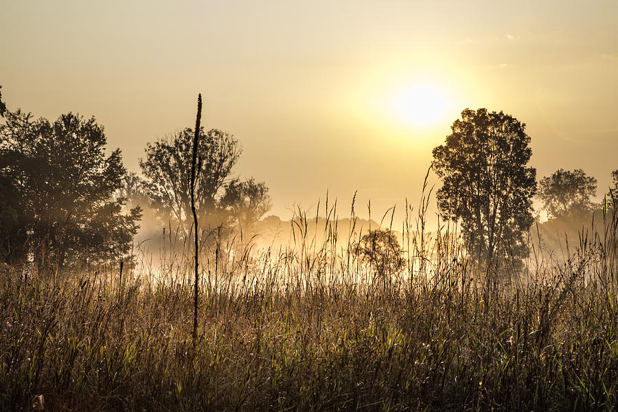 Southern Michigan Foggy Morning  Photograph by John McGraw