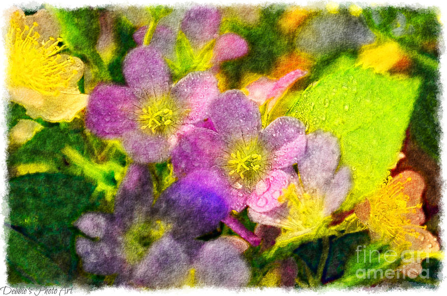 Nature Photograph - Southern Missouri Wildflowers 1 - Digital Paint 2 by Debbie Portwood