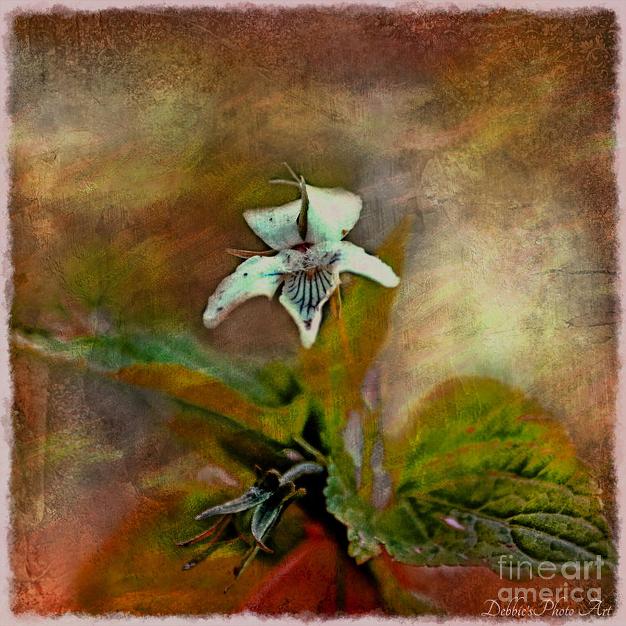 Southern Missouri Wildflowers 6 - Digital Paint 2 Photograph by Debbie Portwood