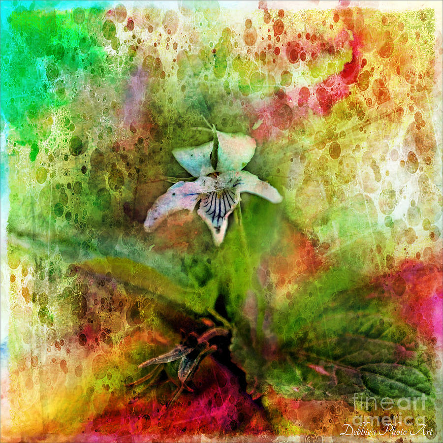 Southern Missouri Wildflowers 6 - Digital Paint 4 Photograph by Debbie Portwood