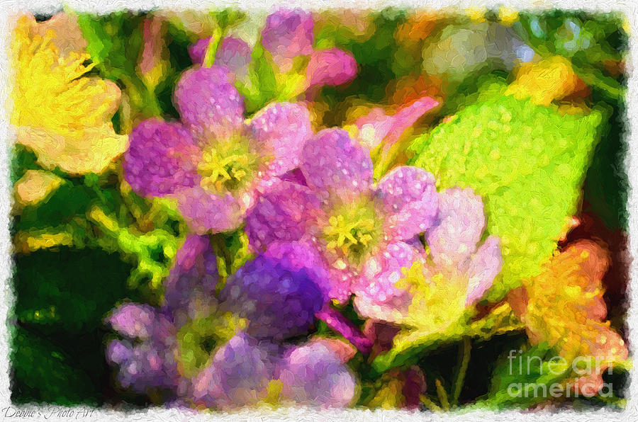 Southern Missouri Wildflowers - Digital Paint  Photograph by Debbie Portwood