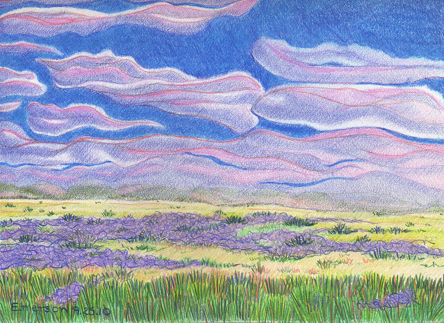 Southern New Mexico Drawing by Harriet Emerson Fine Art America