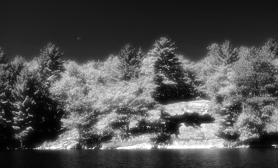 Southern Ontario Canadian Shield BW  Photograph by Lyle Crump