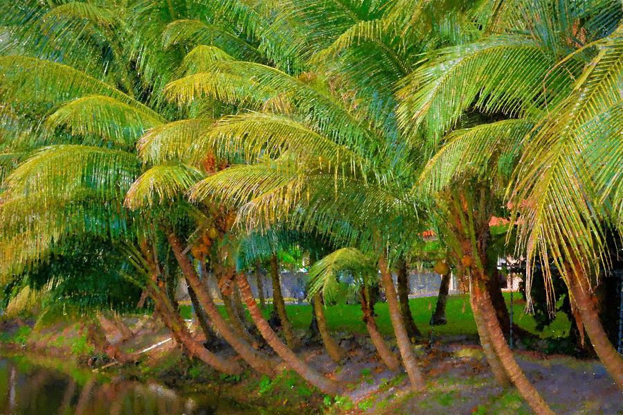Southern Palms Photograph by Alison Belsan Horton