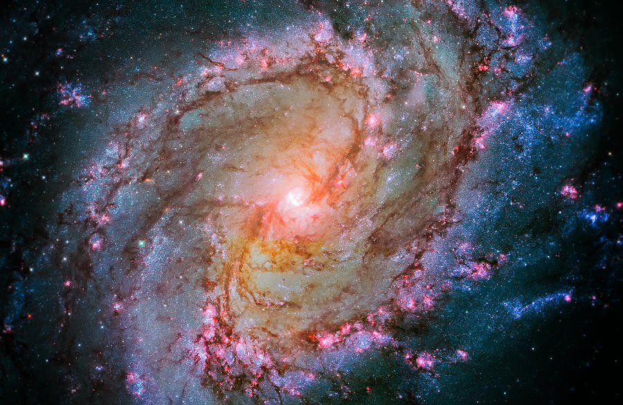 Space Photograph - Southern Pinwheel Galaxy - Messier 83 -  by Jennifer Rondinelli Reilly - Fine Art Photography