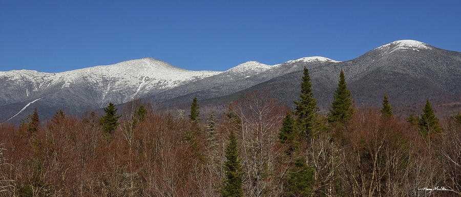 Southern Presidentials Photograph by Harry Moulton