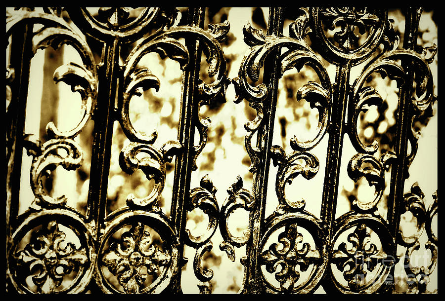 Southern Scrollwork in Sepia Photograph by Carol Groenen