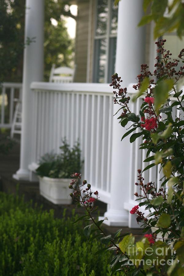 Southern Summer Flowers and Porch Photograph by Nadine Rippelmeyer