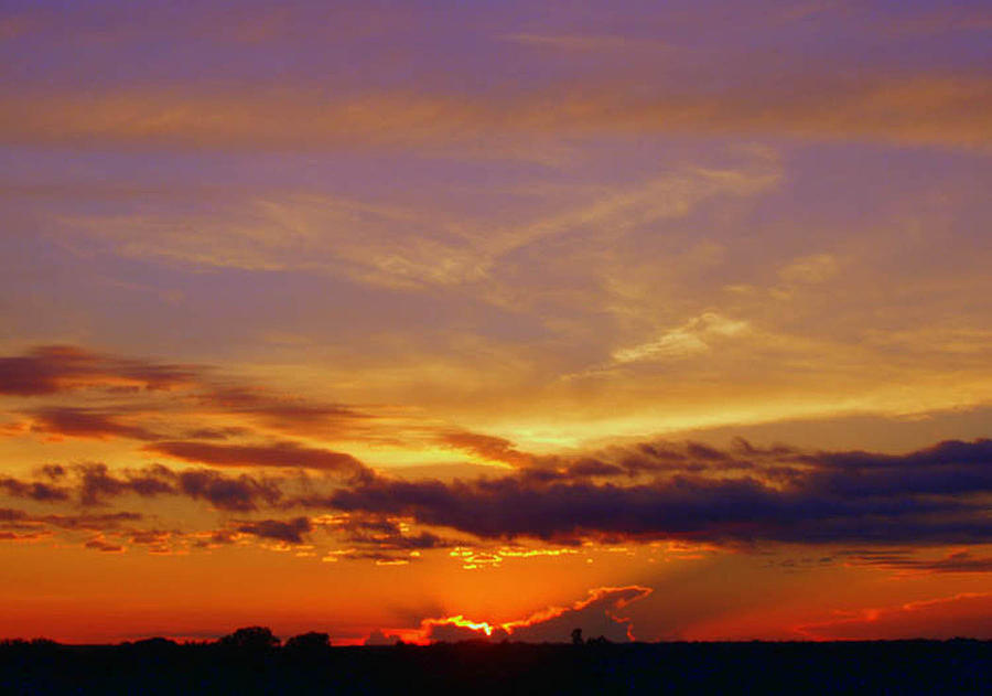 Southern Sunset Photograph by Toni Hopper