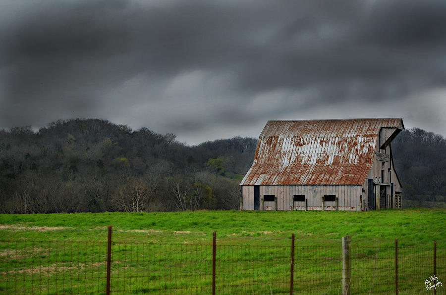 Southern Tennessee Farm Photograph by Ally White