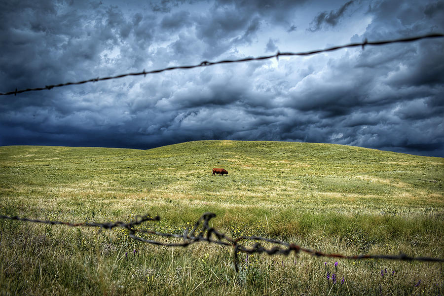Southern Wyoming Solitude Photograph by Christopher Thomas