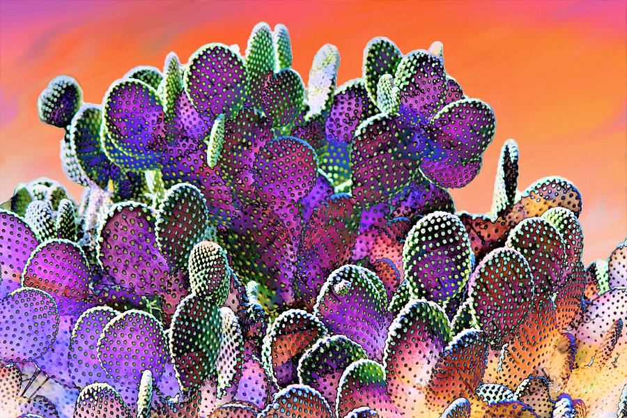 Southwest Desert Cactus Mixed Media by Barbara Chichester