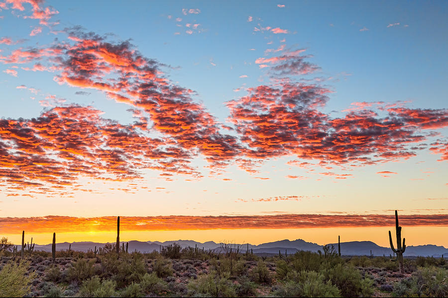 Southwest Desert Colorful Sky Photograph by James BO Insogna