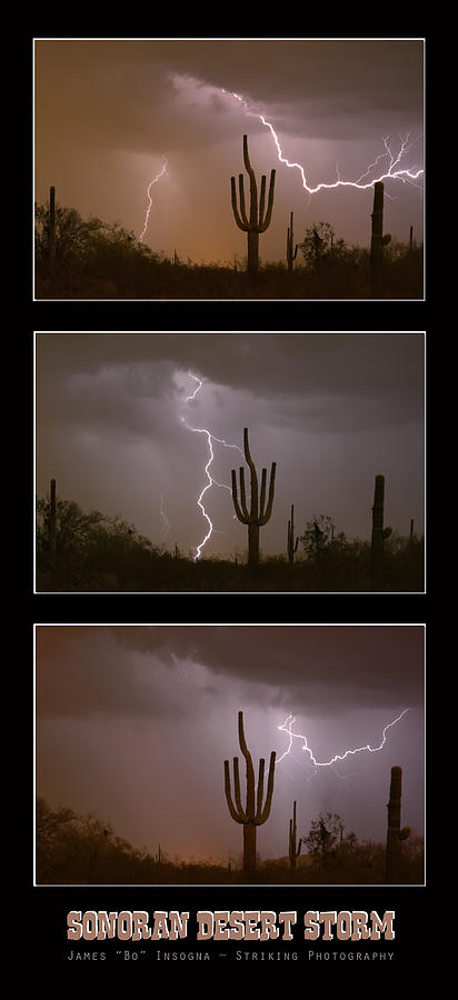 Southwest Desert Thunderstorm Progression Photograph by James BO Insogna